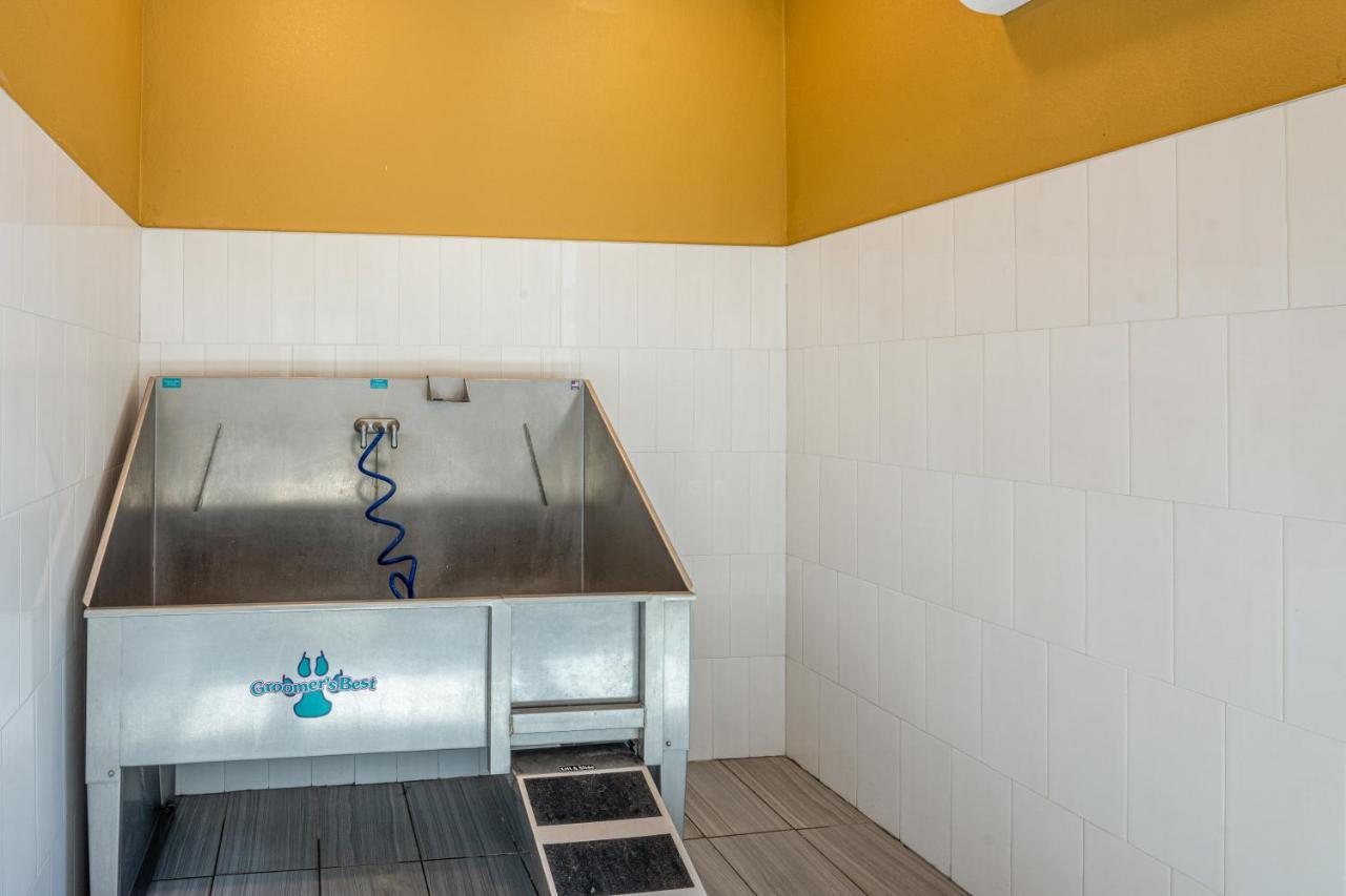 Appartement Luxe 3B/2B Getaway - Pool, Gym, Parking, Pet Wash à Leander Extérieur photo